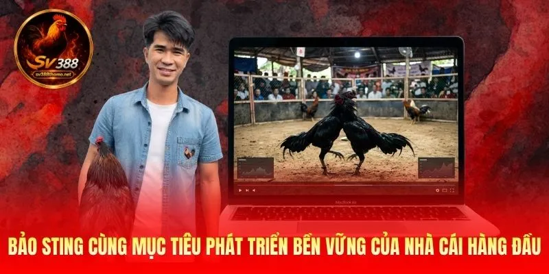 Bảo Sting cùng mục tiêu phát triển bền vững của nhà cái hàng đầu