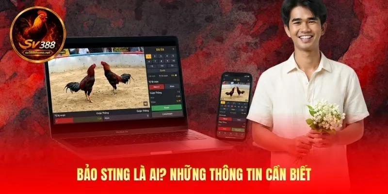 Bảo Sting là ai? Những thông tin cần biết