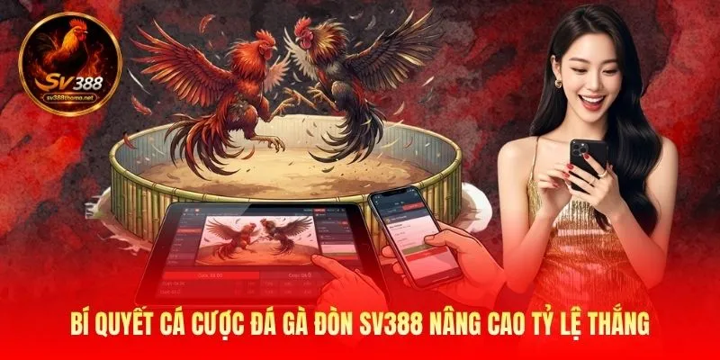 Đá Gà Đòn SV388 - Đấu Trường Giải Trí Đẫm Máu Của Linh 4 Bí quyết cá cược đá gà đòn SV388 nâng cao tỷ lệ thắng