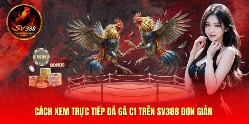 Đá Gà Đòn C1 - Đấu Trường Của Những Chiến Kê Huyền Thoại 4 Cách xem trực tiếp đá gà C1 trên SV388 đơn giản