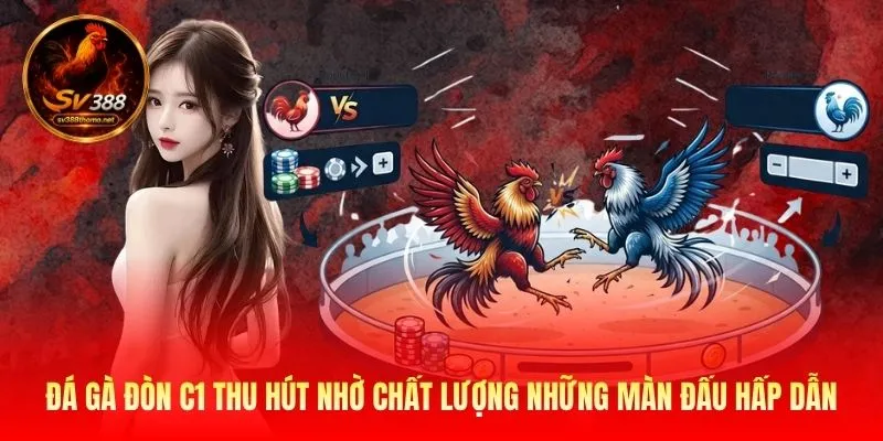 Đá Gà Đòn C1 - Đấu Trường Của Những Chiến Kê Huyền Thoại 2 Đá gà đòn C1 thu hút nhờ chất lượng những màn đấu hấp dẫn