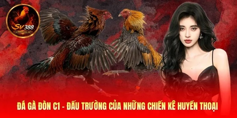 Đá Gà Đòn C1 - Đấu Trường Của Những Chiến Kê Huyền Thoại 1 đá gà đòn c1
