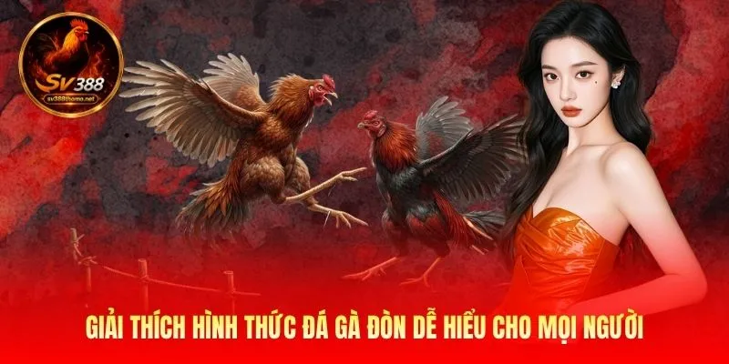 Đá Gà Đòn Độc - Cách Chiến Kê Tung Chiêu Hạ Gục Đối Thủ 2 Đá gà đòn độc được hiểu như thế nào?