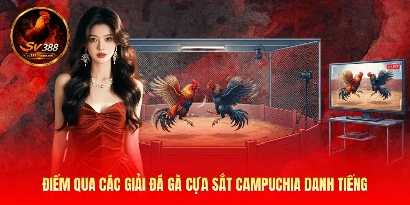 Điểm qua các giải đá gà cựa sắt Campuchia danh tiếng 