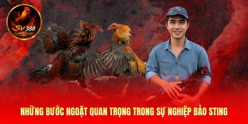 Những bước ngoặt quan trọng trong sự nghiệp Bảo Sting