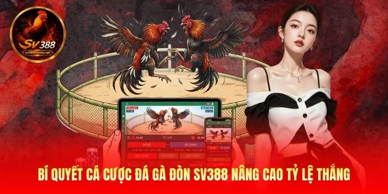 Đá Gà Đòn Độc - Cách Chiến Kê Tung Chiêu Hạ Gục Đối Thủ 4 Những thế đá gà đòn độc được nhiều sư kê đánh giá cao