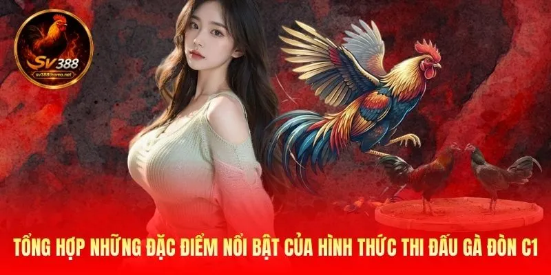 Đá Gà Đòn C1 - Đấu Trường Của Những Chiến Kê Huyền Thoại 3 Tổng hợp những đặc điểm nổi bật của hình thức thi đấu gà đòn C1